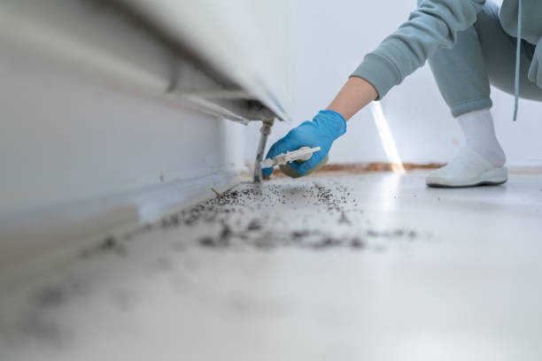 Reliable Brooklyn, OH Pest Control Solutions